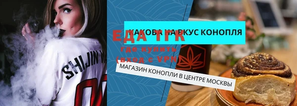соль ск Ельня