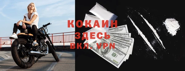 амф Елизово