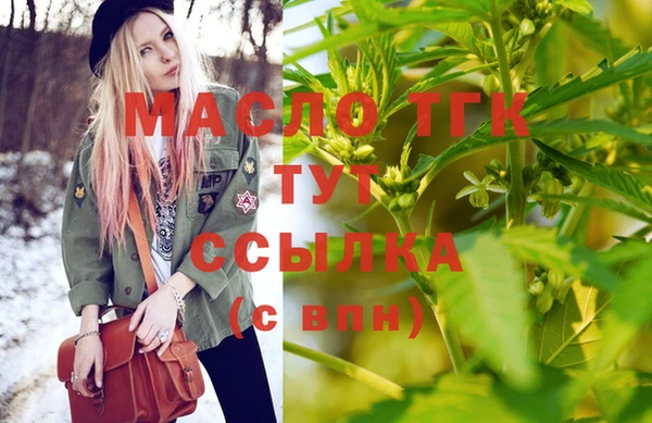 соль ск Ельня