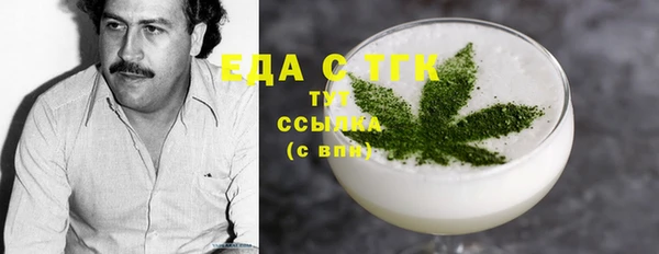 соль ск Ельня