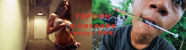 соль ск Ельня