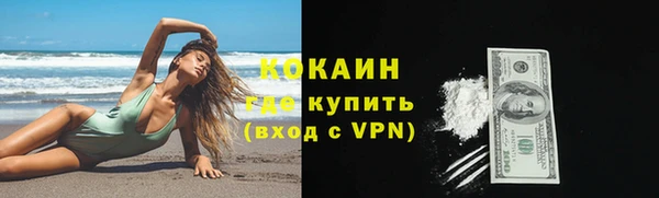 соль ск Ельня