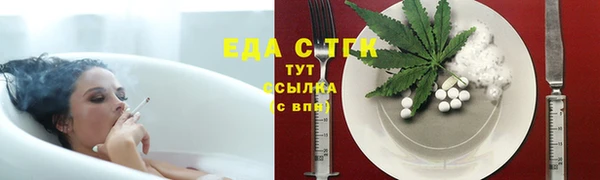 соль ск Ельня