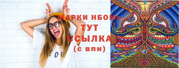 соль ск Ельня