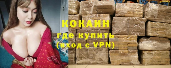 соль ск Ельня