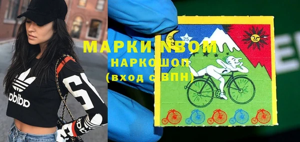 соль ск Ельня