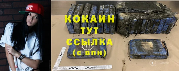 соль ск Ельня