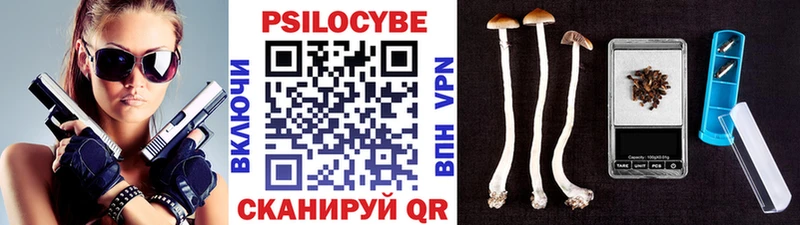 Галлюциногенные грибы Magic Shrooms  Енисейск 